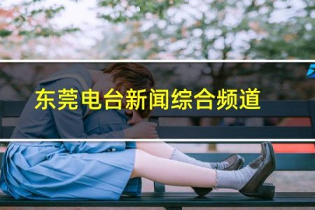 东莞电台新闻综合频道